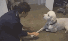 a man is petting a white dog on the floor