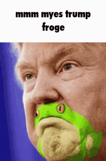 Froge Donald Trump GIF - Froge Donald Trump Mmm Myes Trump Froge GIFs