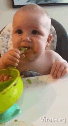 Eat Viralhog GIF - Eat Viralhog Baby GIFs