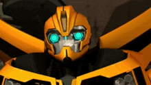 Eyebrow Bumblebee GIF - Eyebrow Bumblebee Transformers GIFs