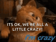 Crazy Garfield GIF - Crazy Garfield Faces GIFs
