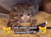 a sad cat is laying on a blanket with the words me when oomf misses botw above it