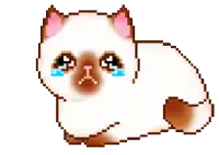 a pixel art drawing of a cat crying