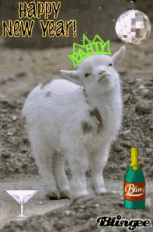Goats Happy GIF - Goats Happy New GIFs