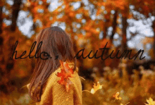 Autumn Fall GIF - Autumn Fall Hello GIFs