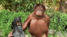 Bff'S Forever No Matter What GIF - Dog Monkey Friends GIFs