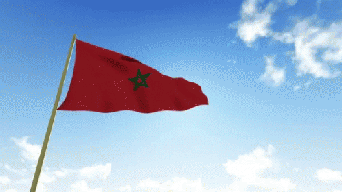 Morocco Flag GIF - Morocco Flag Wave - Discover & Share GIFs