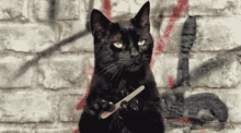 Nail File Black Cat GIF - Nail File Black Cat Cat GIFs