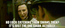 No Luck Catching Them Swans Hot Fuzz GIF
