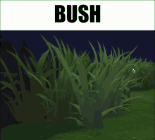 Lol Bush GIF