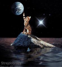 strejdobrazy cat earth reaching