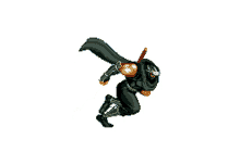 hayabusa ninja