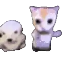 a cat and a dog are standing next to each other .