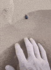 a person 's hand is reaching for a bug on a piece of paper .