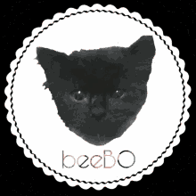 Kucing Black Cat GIF - Kucing Black Cat Bulus GIFs