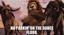 The Wild Movie No Parkin On The Dance Floor GIF - The Wild Movie No Parkin On The Dance Floor Samson GIFs