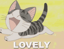 Happy Cat GIF - Lovely Cat Happy GIFs