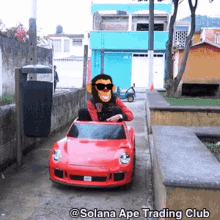 Solanaapetradingclub Satc GIF