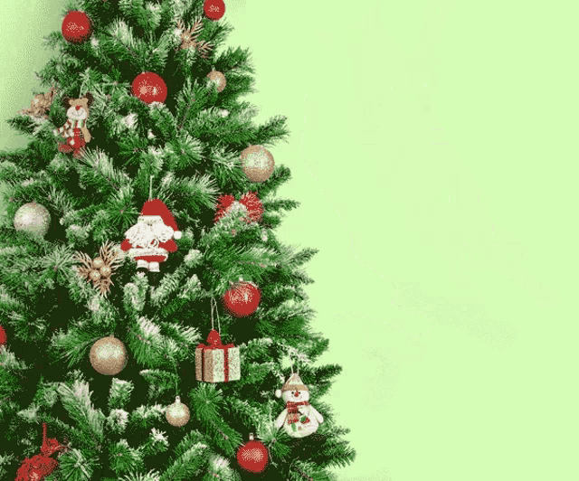 https://media.tenor.com/1iG6aszwmhEAAAAd/cat-christmas-tree.gif