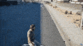 a man is kneeling down on the side of a road with a twitch icon on the right side