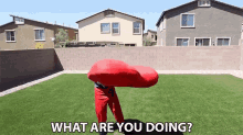 a person in a red suit is standing in a grassy yard with the words " what are you doing " above them