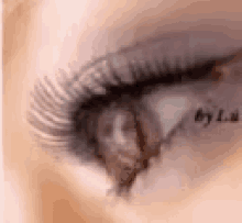 Brianna Eye GIF - Brianna Eye Blink GIFs