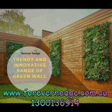 Artificial Hedge Fake Greenery GIF - Artificial Hedge Fake Greenery Fake Hedge GIFs
