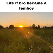 a picture of a field with the words life if bro became a femboy on the bottom