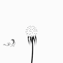 a black and white drawing of a dandelion with a watermark that says jns