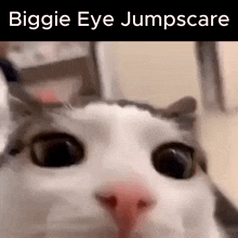 Biggie Eye GIF - Biggie Eye GIFs