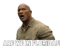 Are We In Florida Lost Sticker - Are We In Florida Lost Swamp Stickers