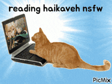 Haikaveh Kavetham GIF - Haikaveh Kavetham Kaveh GIFs