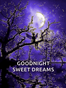 Goodnight Sweet Dreams Majestic GIF - Goodnight Sweet Dreams Majestic Fairy GIFs