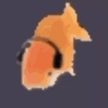 Fish Goldfish GIF - Fish Goldfish Dance GIFs