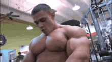 alexey lesukov bodybuilder posing bicep
