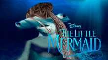 The Little Mermaid GIF - The Little Mermaid GIFs