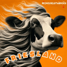 Orange Holland GIF - Orange Holland Friesland GIFs