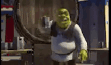 Shrek Real GIF - Shrek Real Grunt22fox GIFs