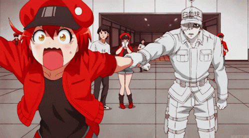 Hataraku Saibou GIF - Hataraku Saibou GIFs