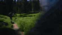 a blurry picture of a person running in a field with trees in the background