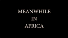 Meanwhile In Africa Dancing GIF