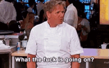 What Confusion GIF - What Confusion Gordon Ramsay GIFs