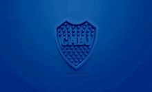 Boca Juniors Boca GIF - Boca Juniors Boca Cabj GIFs
