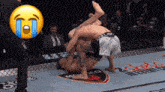 two men are wrestling in a cage with a crying emoji behind them