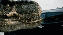 a close up of a dinosaur 's head with its mouth open