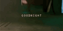 a snake is crawling on the ground and the words `` goodnight '' are written above it .