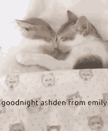 Goodnight Ashden Ashden Emily GIF - Goodnight Ashden Ashden Emily GIFs