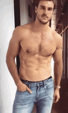 Chesthair Muscles GIF - Chesthair Muscles GIFs