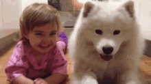 Samoyed Puppy And Baby GIF