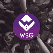 Wsg Wallstreetgames GIF - Wsg Wallstreetgames Game Fi GIFs